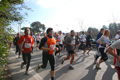 miguel_0844