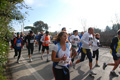 miguel_0919