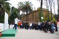 telethon_4282