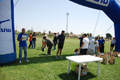 nettuno_1339