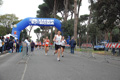 vivicitta_pino_368