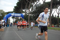 vivicitta_pino_448