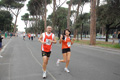vivicitta_pino_634