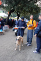 telethon_2409