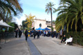 telethon_2456