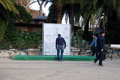 telethon_2459
