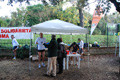 telethon_2522
