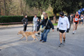 telethon_2537