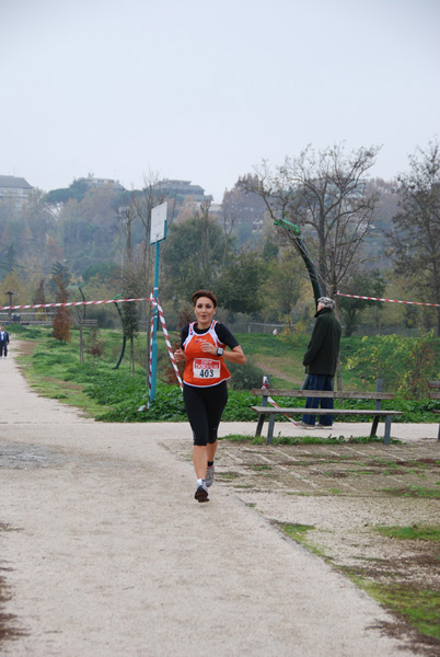 Trofeo Podistico Walter Tobagi (22/11/2009) tobagi-09_8241