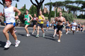 race_8437