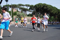 race_8541