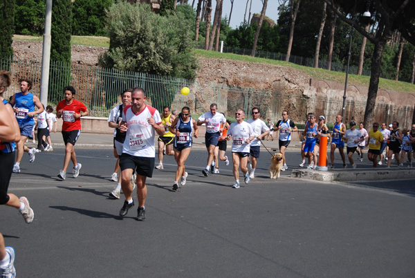 Race For The Cure (17/05/2009) race_8548