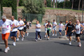 race_8781