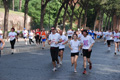 race_8909