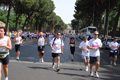 race_8973