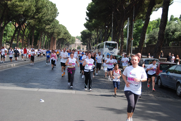 Race For The Cure (17/05/2009) race_8996