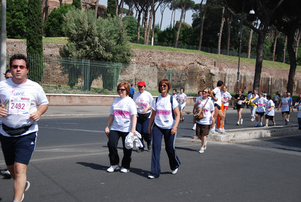 Race For The Cure (17/05/2009) race_9061