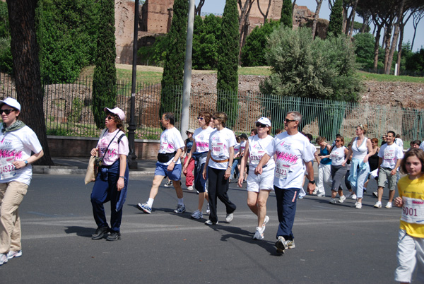 Race For The Cure (17/05/2009) race_9080