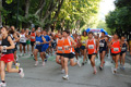 tagliacozzo09_4597