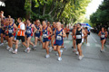tagliacozzo09_4643