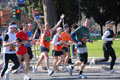 quattropani_0068