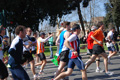 quattropani_0139
