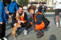 marcellina_angelo_0119