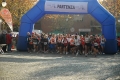marcellina_angelo_0141