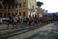 marcellina_angelo_0145