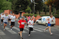 vivicitta_pino_202