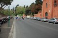 vivicitta_pino_272