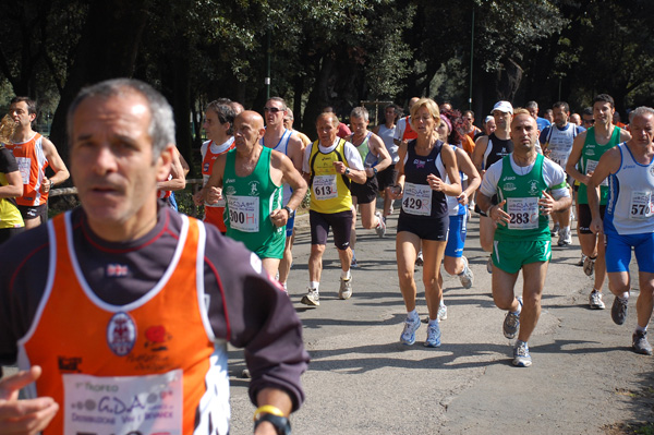 Giro delle Ville Tuscolane (25/04/2009) frascatipino_053