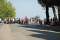 frascatipino_120