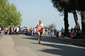 frascatipino_123
