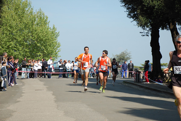 Giro delle Ville Tuscolane (25/04/2009) frascatipino_144