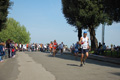 frascatipino_184