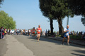 frascatipino_186