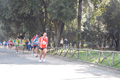 frascatipino_202