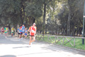 frascatipino_203