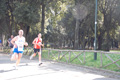 frascatipino_212