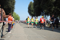 frascatipino_230