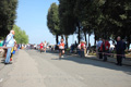 frascatipino_236