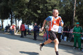 frascatipino_239