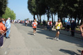 frascatipino_250