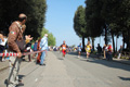 frascatipino_260