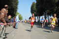 frascatipino_263