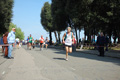 frascatipino_272