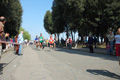frascatipino_274