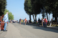 frascatipino_278