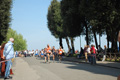 frascatipino_283